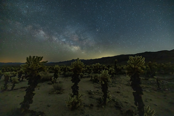 Joshua Tree National Park