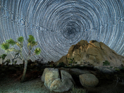 Joshua Tree National Park