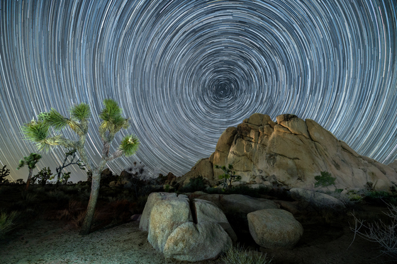Joshua Tree National Park