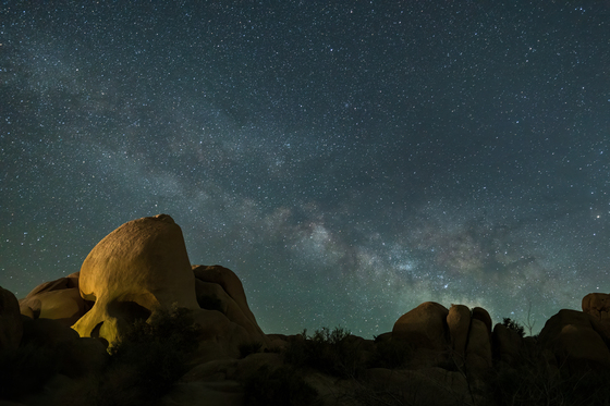 Joshua Tree National Park
