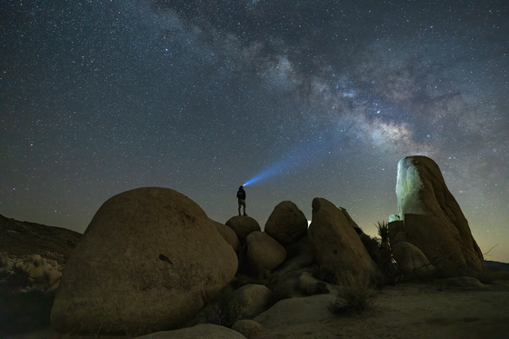 Joshua Tree National Park