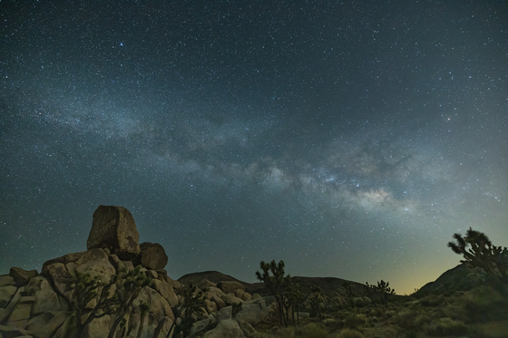 Joshua Tree National Park