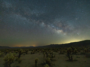 Joshua Tree National Park