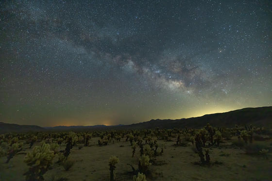 Joshua Tree National Park