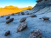 Bisti/De-Na-Zin Wilderness
