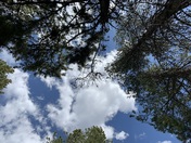 Grand Teton National Park