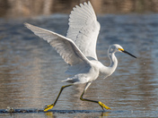 Everglades National Park