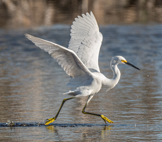 Everglades National Park