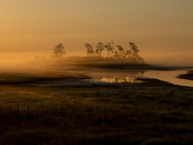 Chincoteague National Wildlife Refuse