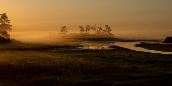 Chincoteague National Wildlife Refuse