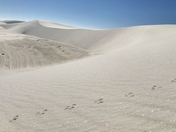 White Sands National Park, New Mexico