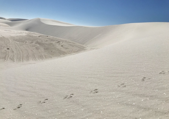White Sands National Park, New Mexico