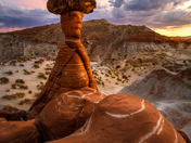 Toadstool Hoodoo