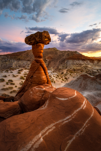 Toadstool Hoodoo