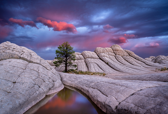 White Pocket, Vermilion Cliffs National Monument