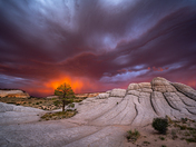 White Pocket, Vermilion Cliffs National Monument