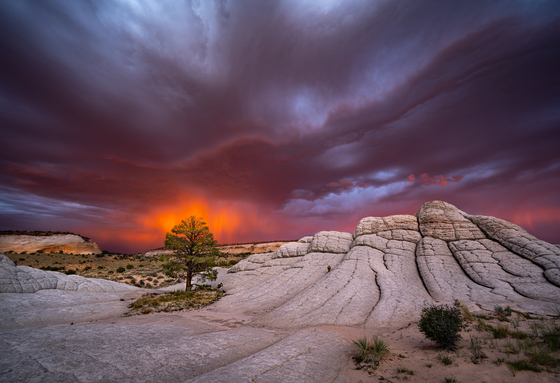 White Pocket, Vermilion Cliffs National Monument