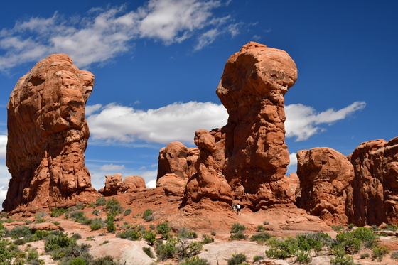 Arches National Park