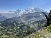 Amazing Mount Rainier