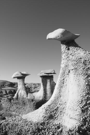 Bisti/De-Na-Zin Wilderness