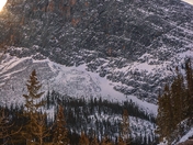 Ram Walking Down A Snowy Mountain Road