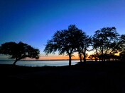 Airport Park