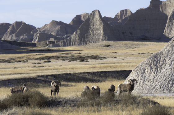 Badlands National Park