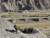 Badlands National Park