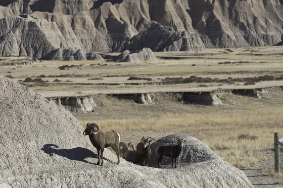 Badlands National Park