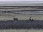 Badlands National Park