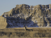 Badlands National Park