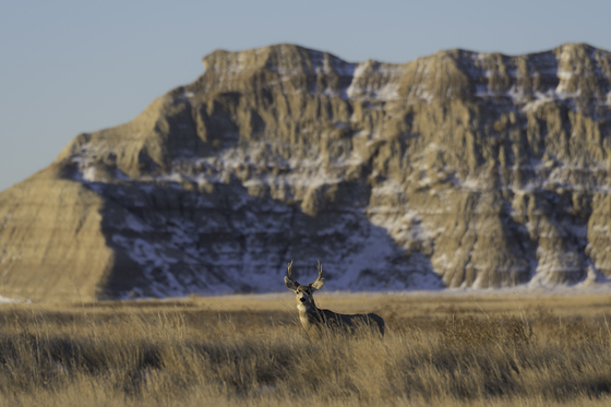 Badlands National Park