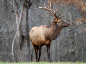 Great Smoky Mountains National Park