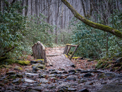 Great Smoky Mountains National Park