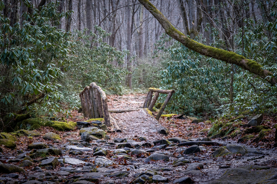 Great Smoky Mountains National Park
