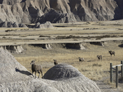 Badlands National Park