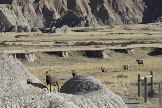 Badlands National Park