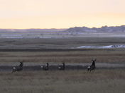 Badlands National Park