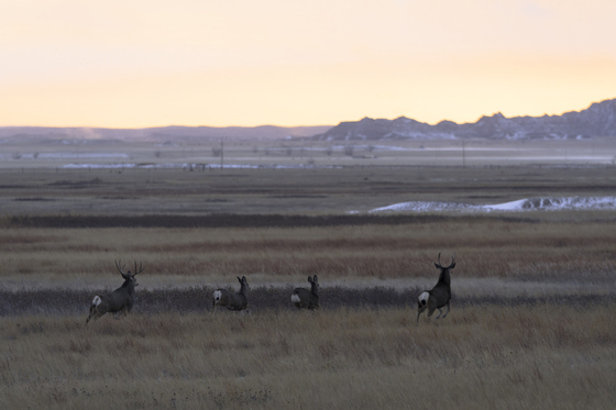 Badlands National Park
