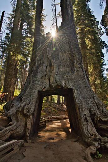 Yosemite National Park