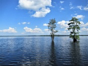 Great Dismal Swamp National Wildlife Refuge