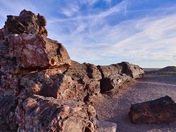 Petrified Forest National Park