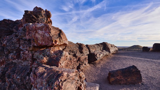 Petrified Forest National Park