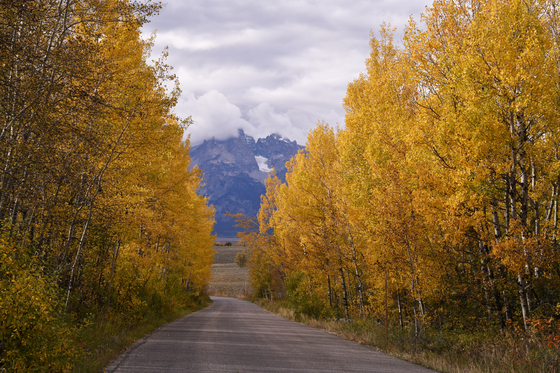 Grand Teton National Park