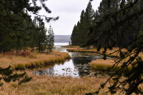 Yellowstone National Park