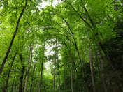  Great Smoky Mountains National Park