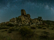 Joshua Tree National Park