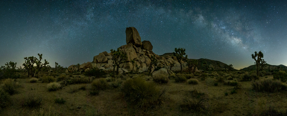 Joshua Tree National Park