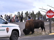 Yellowstone National Park