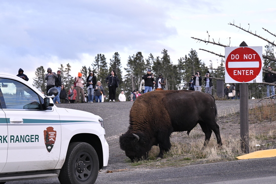 Yellowstone National Park